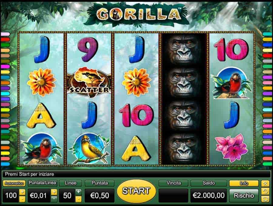 Gorilla